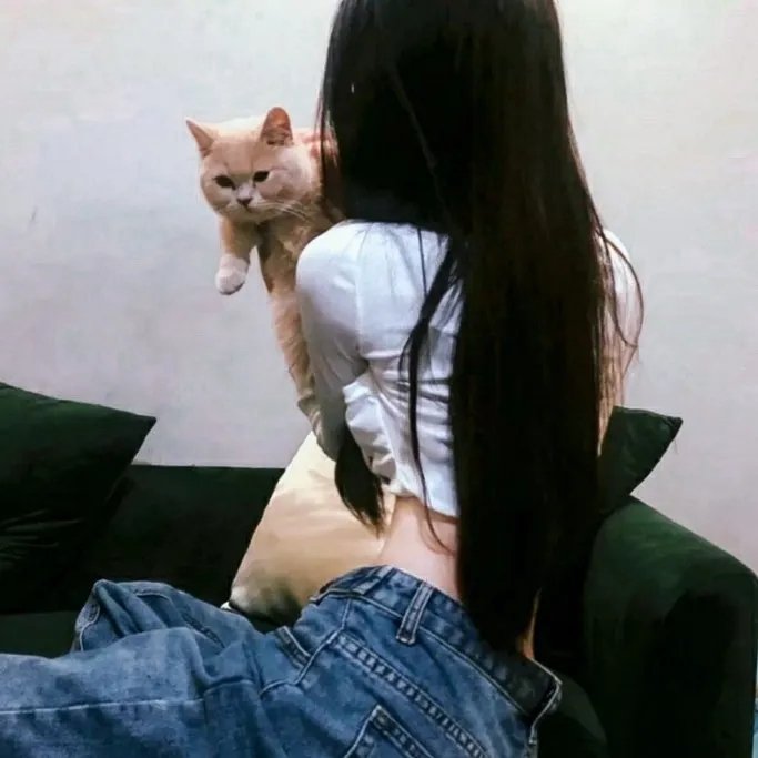 一个人的朝圣 在线观看